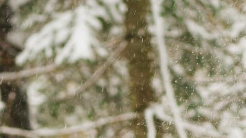 El invierno trae una energía especial.