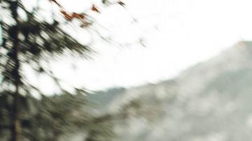 Con el invierno comienza un nuevo ciclo.