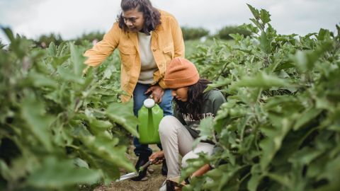 El agua es indispensable para el campo.
