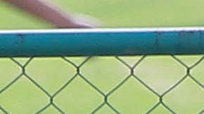 ricardo pelaez deudas cruz azul