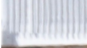 Scott Disick y Amelia Hamlin