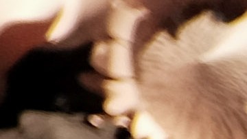 Maria Sharapova muestra su marca de caramelos: Sugarpova.