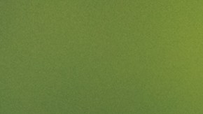 shutterstock_1551108770