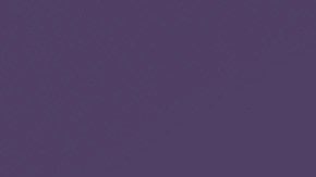 shutterstock_1571646079