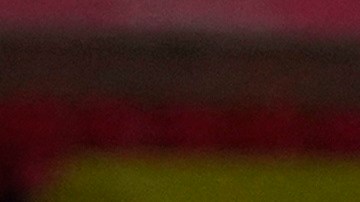 Heung-Min Son se llevó a casa el Premio Puskas.