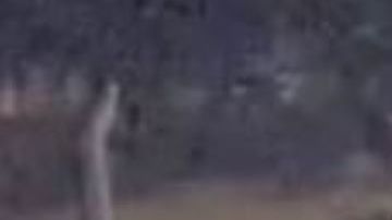 El video de vigilancia captó el momento del ataque.