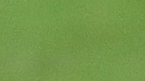 goles tigres olimpia