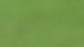 goles tigres olimpia