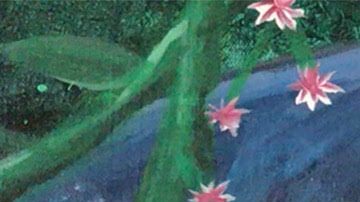 Actualmente Aria Luna recauda fondos para ayudar a familias divididas por migración.