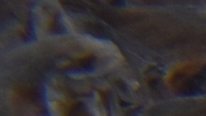 Trabajadores protestan en sus vehículos.