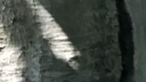 Los acontecimientos de su infancia motivaron a Ervin Staub a investigar qué lleva a una persona a ayudar a otra.