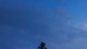 David Quammen escribe sobre temas de evolución y ecología.