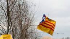 El asalto al Capitolio por parte es considerado como terrorismo doméstico. (Reuters)