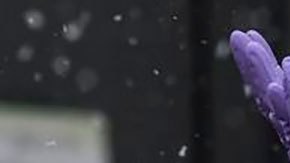 Corea del Sur puso en marcha rápidamente un programa de pruebas y rastreo masivo al comienzo de la pandemia.