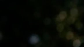 Trump entró a la historia como el único presidente de EE.UU. en enfrentar dos "impeachments".