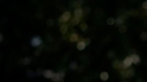 Trump entró a la historia como el único presidente de EE.UU. en enfrentar dos "impeachments".