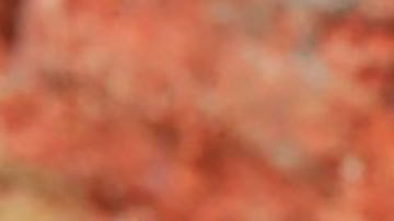 En 2019 se detectaron un total de 202.185 nuevos casos de la enfermedad en 120 países del mundo.