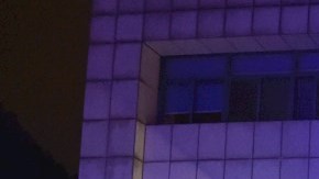 Este jueves expertos investigadores de la OMS inician investigación en Wuhan China para determinar el origen de la pandemia por coronavirus.