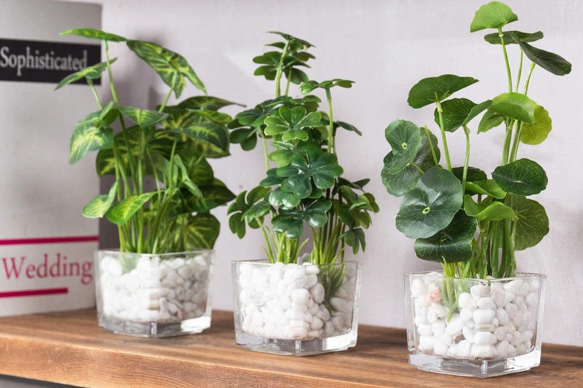 5 diseños de plantas artificiales para decorar tu hogar si no tienes tiempo  para regarlas - La Opinión