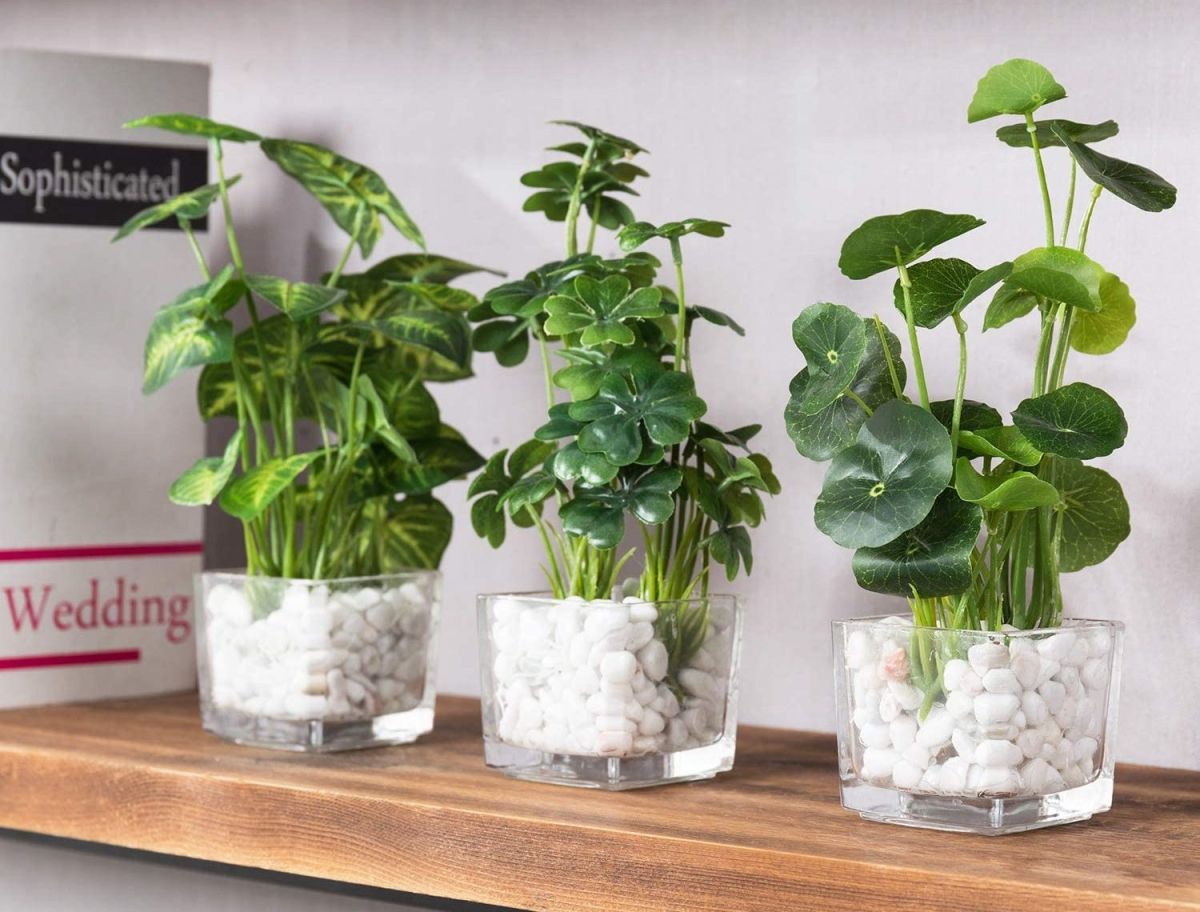 5 diseños de plantas artificiales para decorar tu hogar si no tienes tiempo  para regarlas - La Opinión