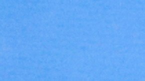 Este martes es la elección por el Senado en Georgia.