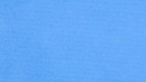 Este martes es la elección por el Senado en Georgia.