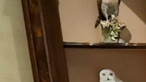 AMLO junto a otras figuras de su gobierno, durante la conversación con Biden.