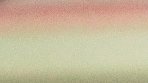 Los tenistas aseguran no conocer todas las medidas de seguridad.