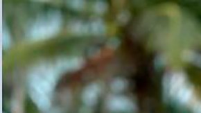 Joanna Zdanowska tiene 47 años y decidió tomarse un sabático.