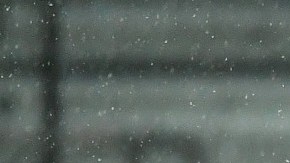 Después de un año perfecto, Bayern sufre importante ''descalabro''.