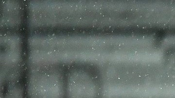 Después de un año perfecto, Bayern sufre importante ''descalabro''.