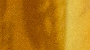 El presidente Biden firmó órdenes ejecutivas sobre Obamacare y Medicaid.