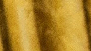 El busto de César Chávez está detrás de Biden en la foto, junto a fotos familiares.