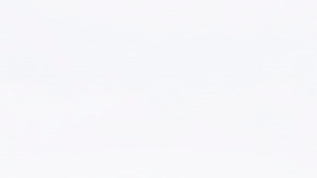 Policías resguardan Capitolio