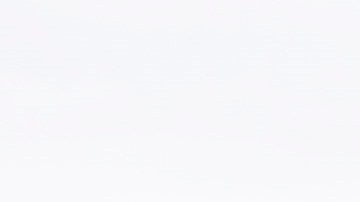 Policías resguardan Capitolio