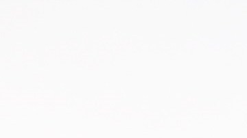 Seguidores de Trump asaltaron el Capitolio el 6 de enero de 2021.