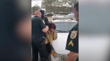 Cindy Falco-DiCorrado fue arrestada por las autoridades de West Palm Beach.