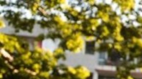 Cuba comienza el año con un nuevo ciclo de medidas económicas.