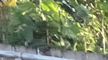 La fundación intenta realizar actividades didácticas para el desarrollo e integración de los niños.