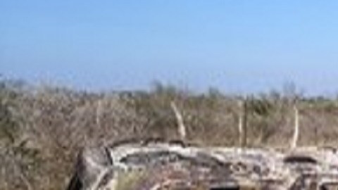 Escena crimen 19 calcinados