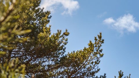 Ford-Bronco-130720-02