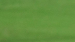 Rogelio Funes Mori es el actual goleador del torneo.