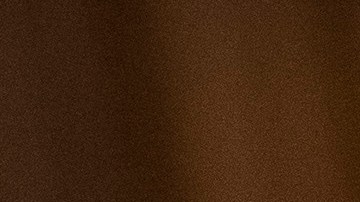 Nancy Pelosi y Chuck Schumer durante un evento público.