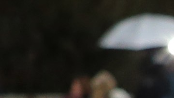 Las cartas serán firmadas por miles de indocumentados y soñadores.