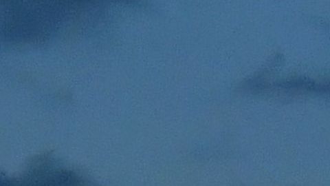 El auto salió disparado de uno de los puentes que atraviesan el Freeway 110.