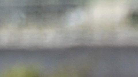Los trabajadores esenciales indocumentados piden justicia.