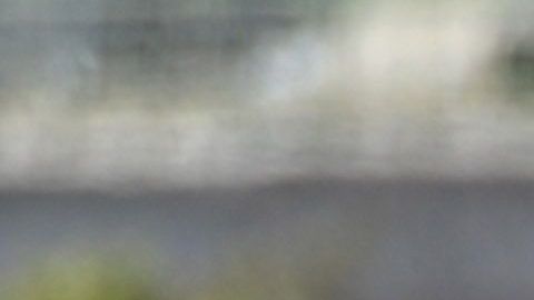Los trabajadores esenciales indocumentados piden justicia.