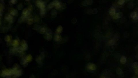 ICE ha puesto en libertad a algunos migrantes durante la pandemia.