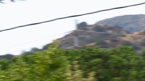 Los Angeles National Forest es uno de los bosques no están permitiendo acampar.