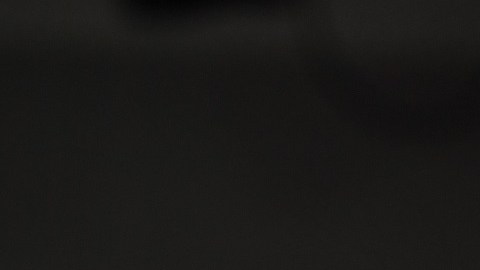 Los líderes demócratas del Congreso.